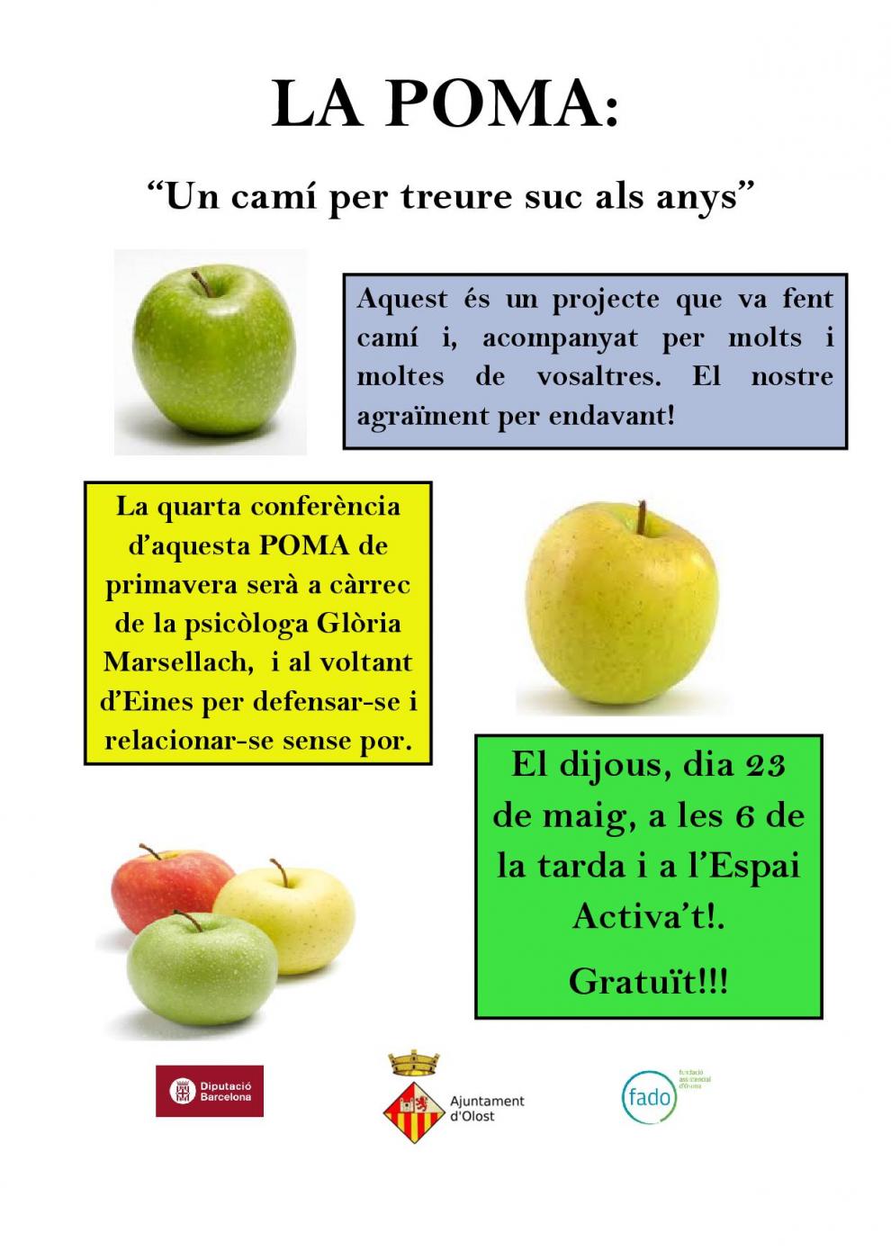 4a Conferència del projecte